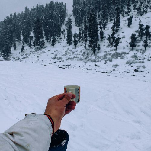 A hand holding a cup against a backdrop of snow-covered trees in Laripora's winter landscape.