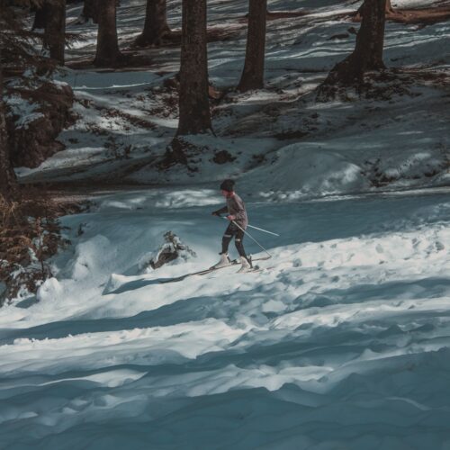 A skier navigates through a snowy forest landscape on a sunny winter day.