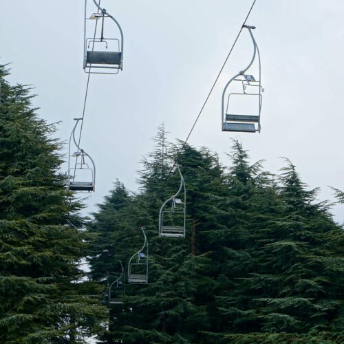 Vertical shot of cable cars over lush green trees in Algeria.